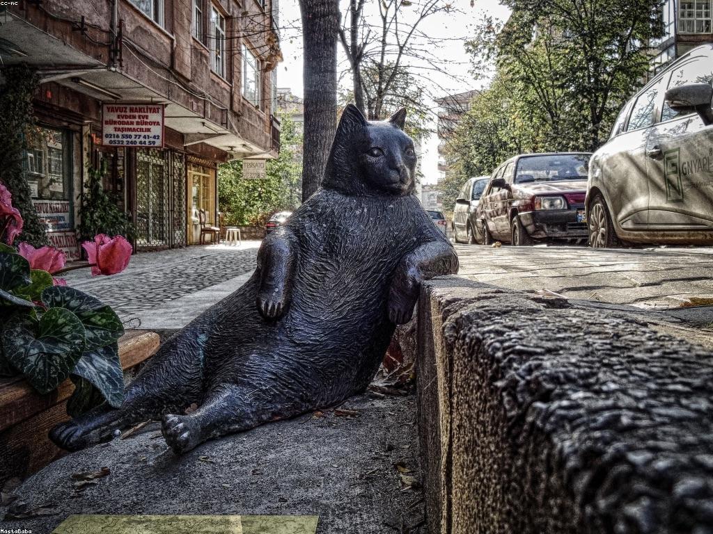 សង្គមនិងមនុស្ស: ការយល់ដឹងអំពីអត្តសញ្ញាណនិងសង្គម