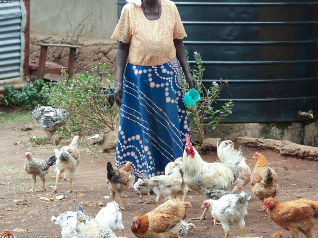 សង្គមនិងមនុស្ស: ការយល់ដឹងអំពីសមត្ថភាពរស់នៅក្នុងសង្គម